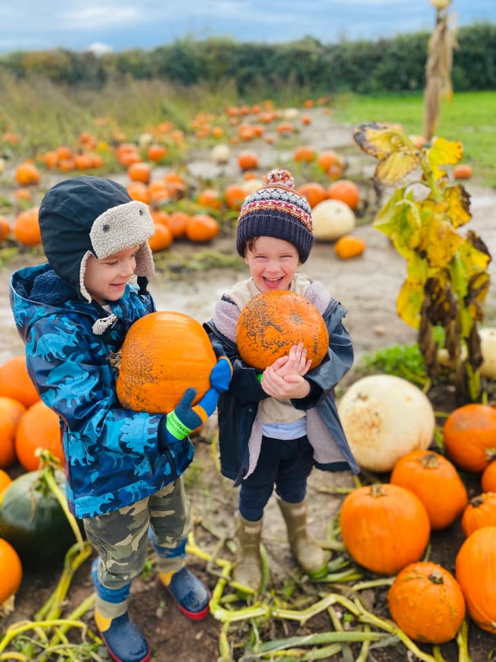 Boys picking pumpkins in the pumpkin field